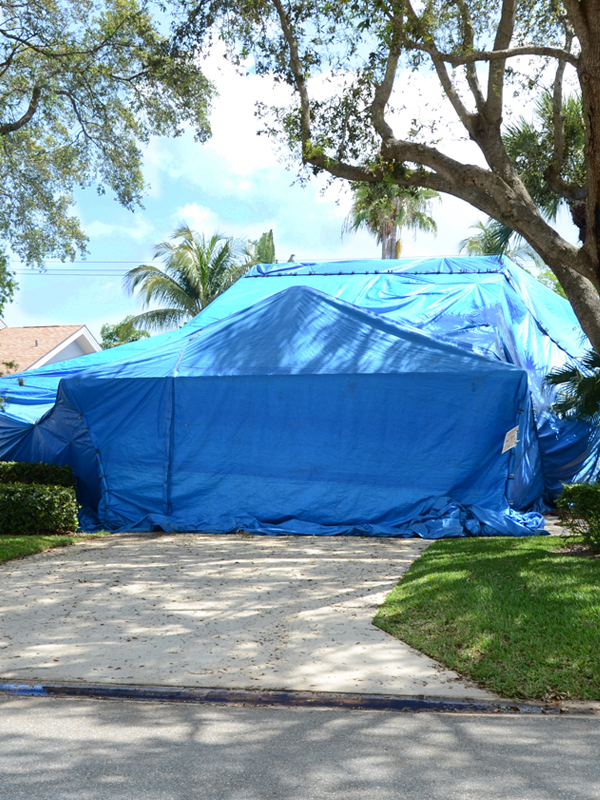 There are 50+ termite exterminators in Palm Beach County because termite infestation is a common problem. Unoccupied homes are particularly vulnerable to the expense and inconvenience of fumigation. The professional Premier Home Watch of Jupiter team is your best guard against an infestation.